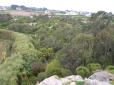  vue d'ensemble du jardin exotique